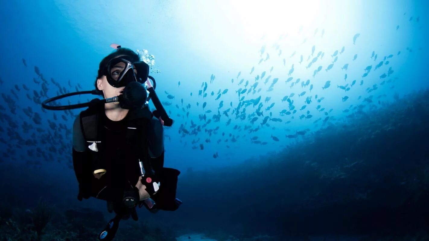 Life is diving. Padi дайвинг. Дайвинг в Манавгате. Дайвинг Scuba. Плавание с аквалангом.