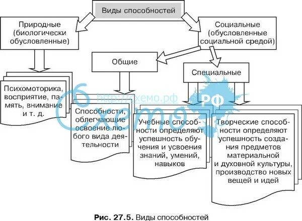 Виды способностей и их примеры Курс лекций по психологии Автор доцент к с