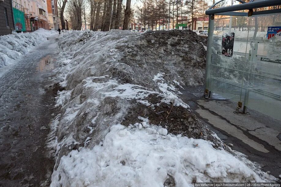 Грязный снег. Загрязненный снег. Грязные сугробы в Новосибе. Грязные сугробы