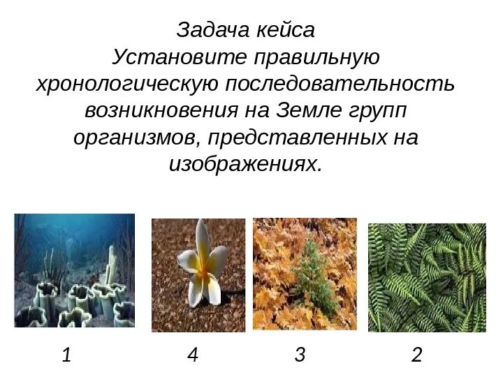 Последовательность возникновения организмов на земле. Последовательность возникновения на земле живых организмов. Правильная последовательность появления организмов на земле. Последовательность возникновения групп живых организмов на земле. Установите последовательность появления групп животных на земле