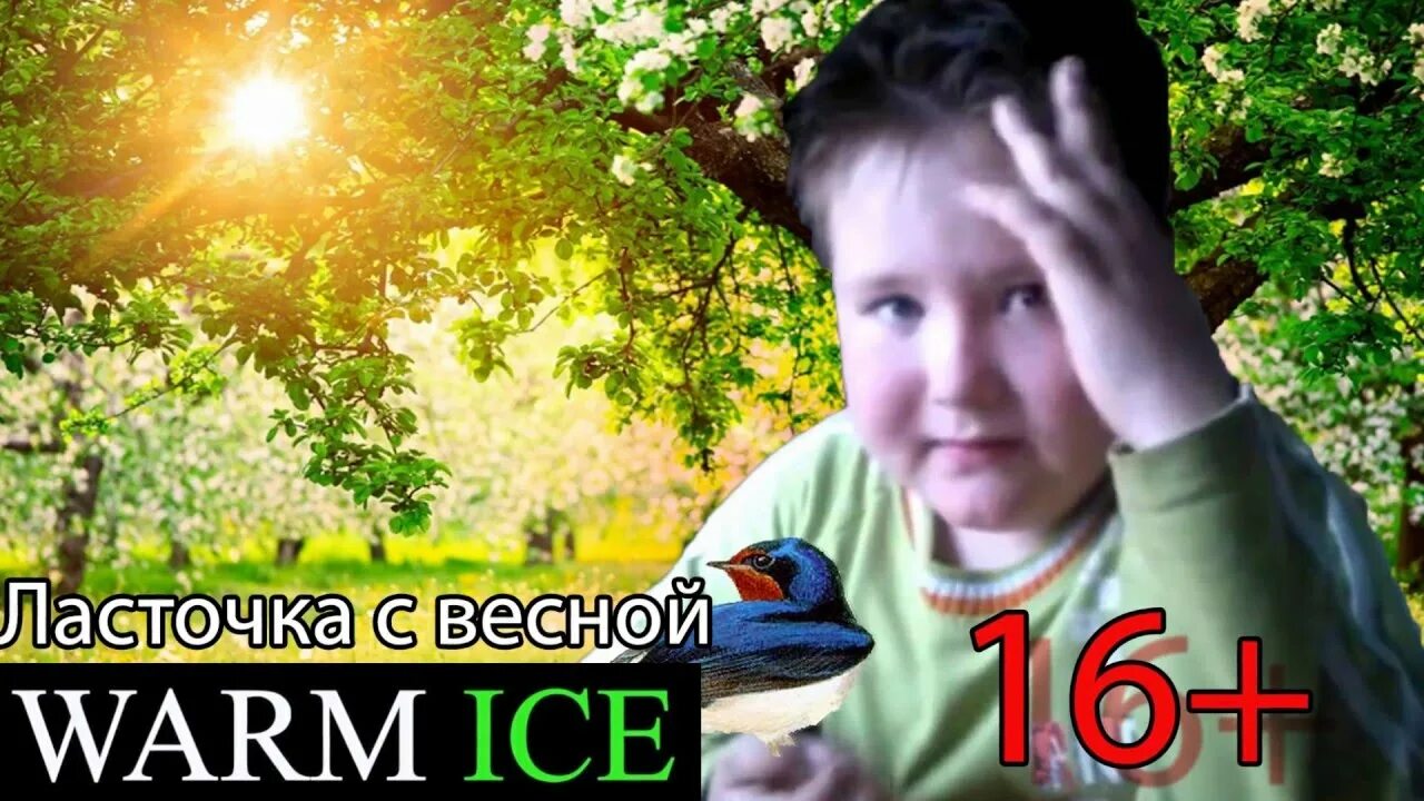 Ласточка с весною в сени мальчик