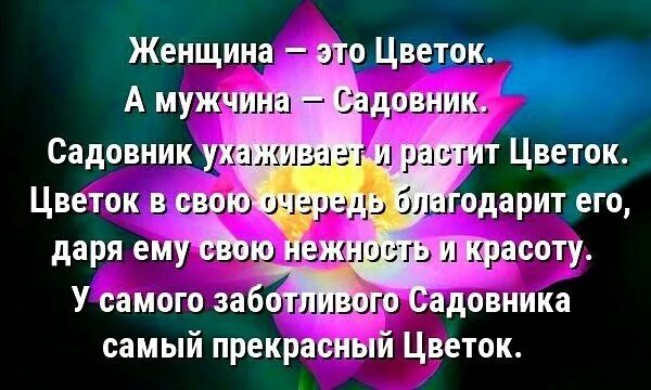 Какой садовник. Женщина как цветок а мужчина садовник. мужчина садовник женщина. каждая женщина это цветок. мужчина и женщина цветы.