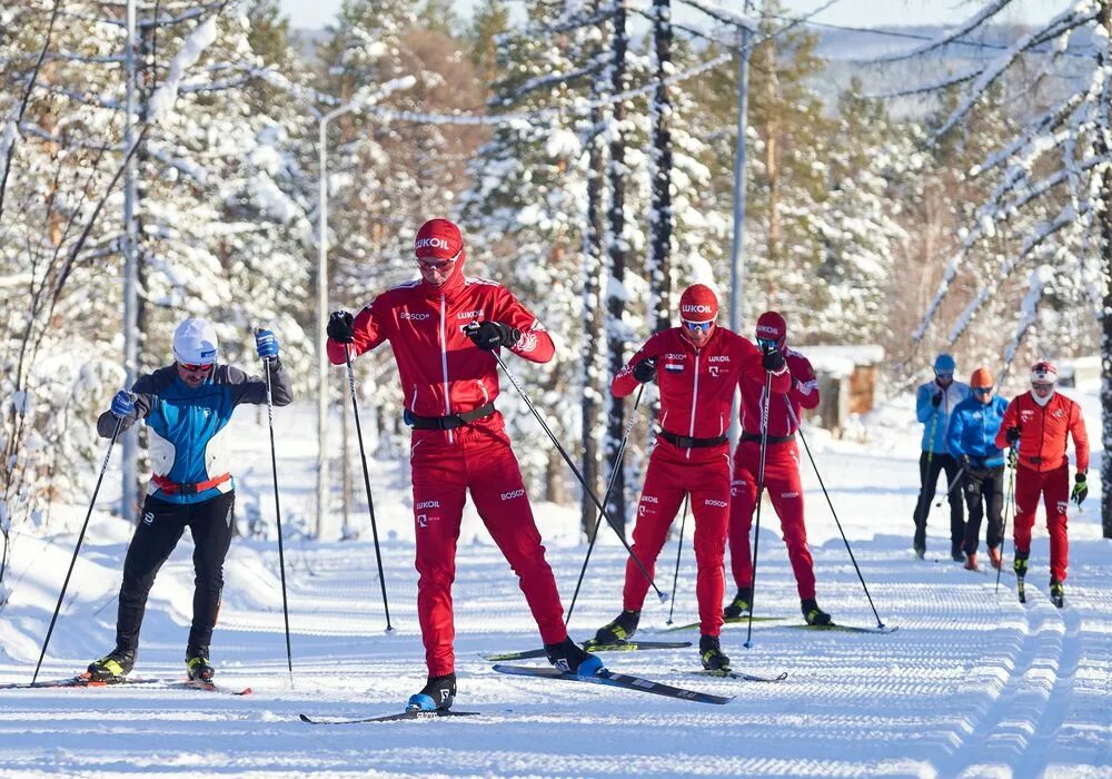 тренировки по лыжным гонкам