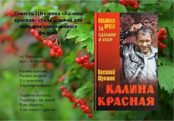 «Калина красная» Василия Макаровича Шукшина.. Шукшин в. "Калина красная".