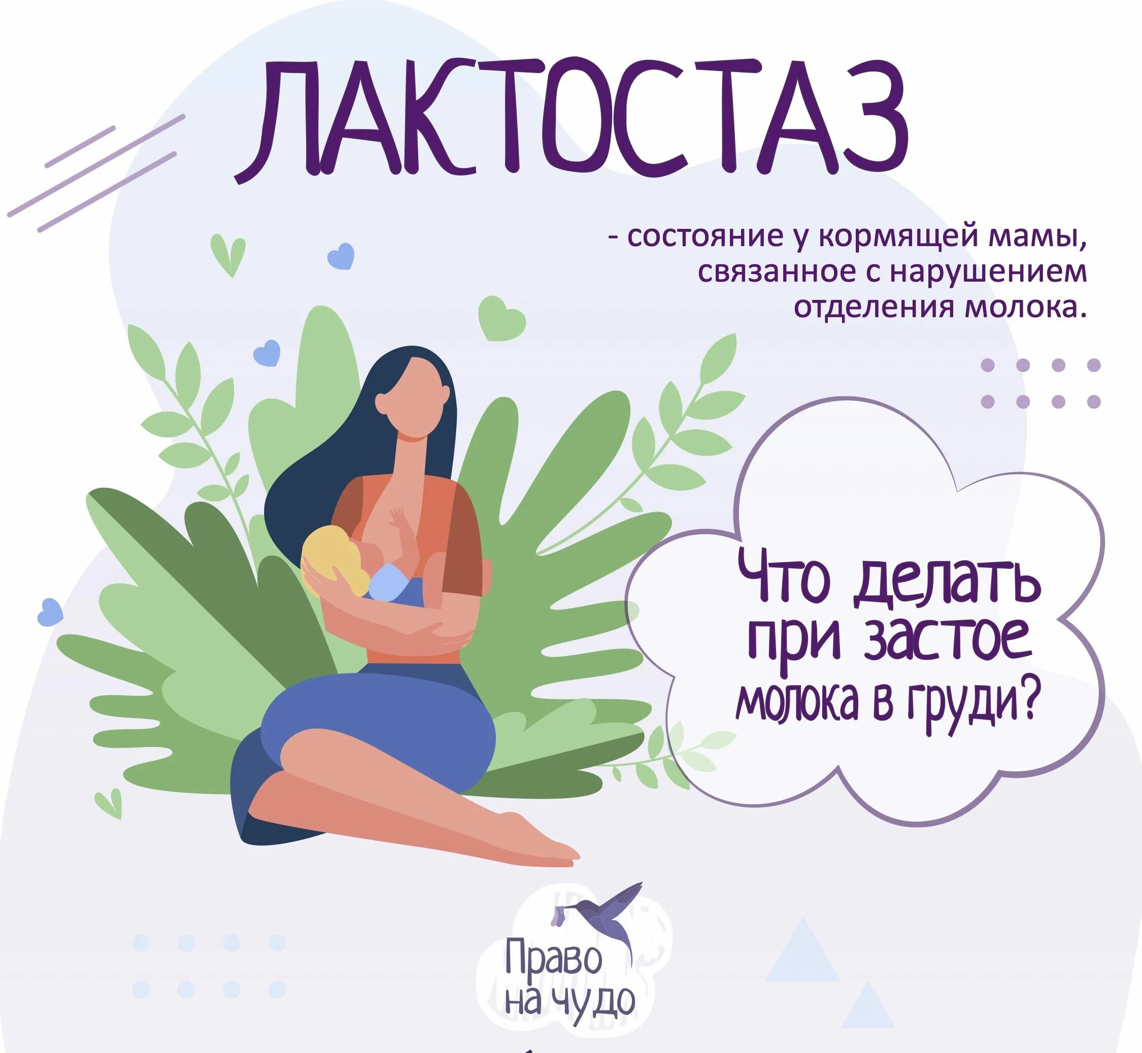 Что такое лактостаз. Лактостаз. рекомендации при лактостазе. лактостаз при грудном вскармливании. грудь при застое молока.