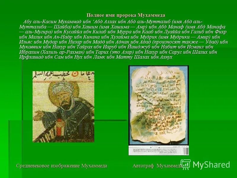 Пророки после мухаммеда. В. Пророки после мухаммеда. Древо семьи пророка мухаммеда с. Халифы пророка мухаммеда 4 халифа.