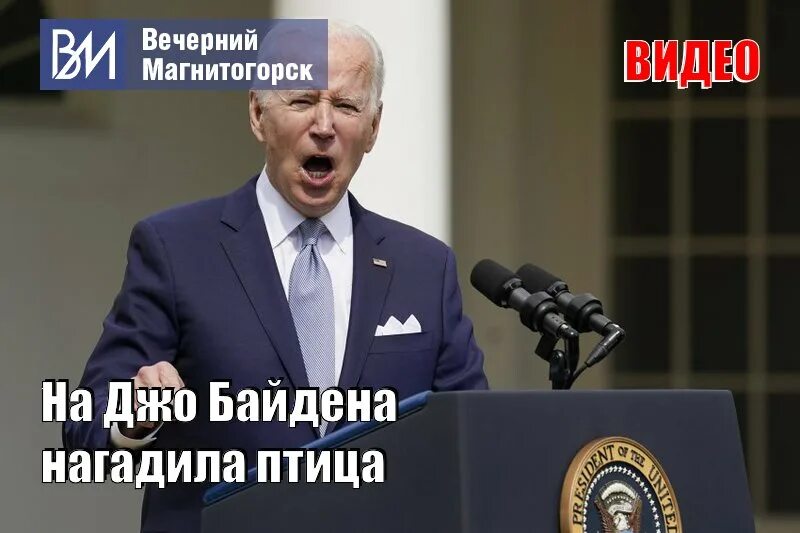 Джо байден. Глупые фразы байдена. Байден голубь накакал. Текст байдена. Байден памятка.