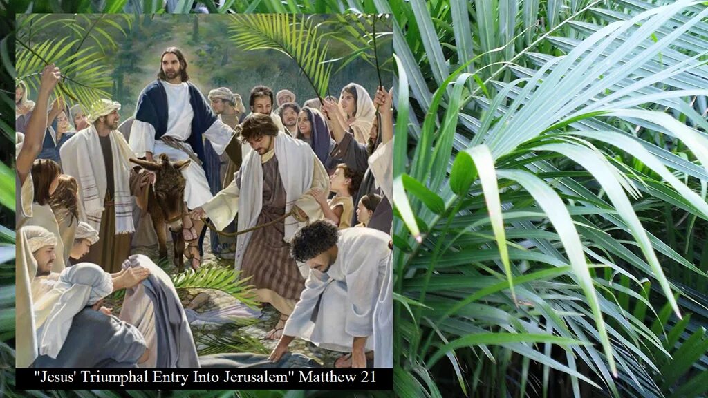 Въезд Иисуса в Иерусалим JW. Иисус Христос въезжает в Иерусалим Кадр из фильмаьма. Католическое «пальмовое» воскресенье (Palm Sunday). Иисус и пальмовые ветви.