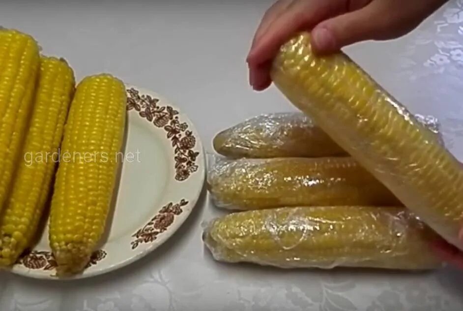 Морозят ли кукурузу в початках на зиму. Заморозка кукурузы в початках на зиму. кукуруза в початках замороженная. заморозить початки кукурузы на зиму. кукуруза початки заморозка.
