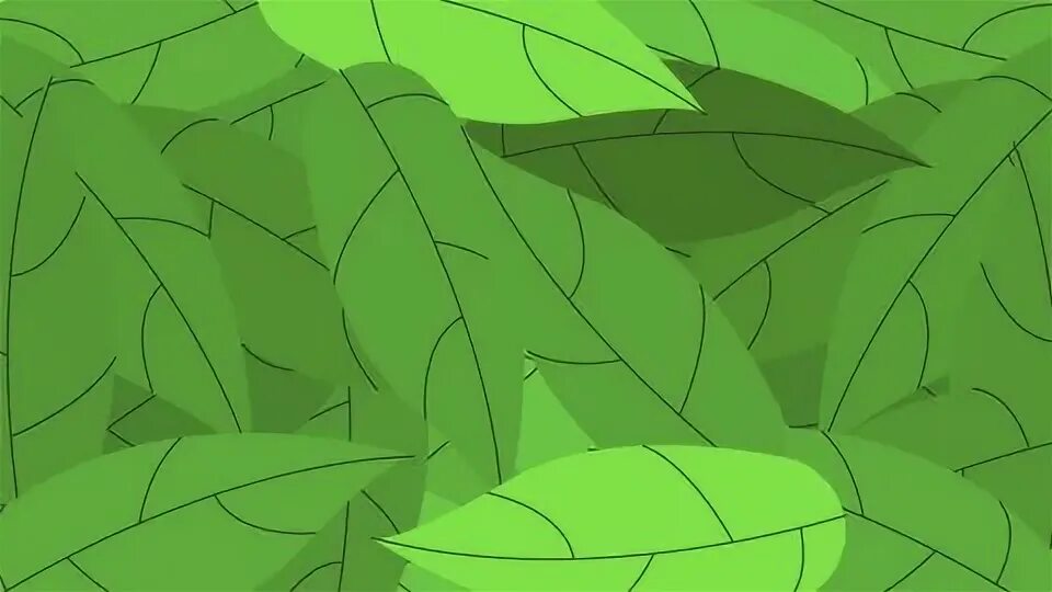 Transition leaves. Transition leaves