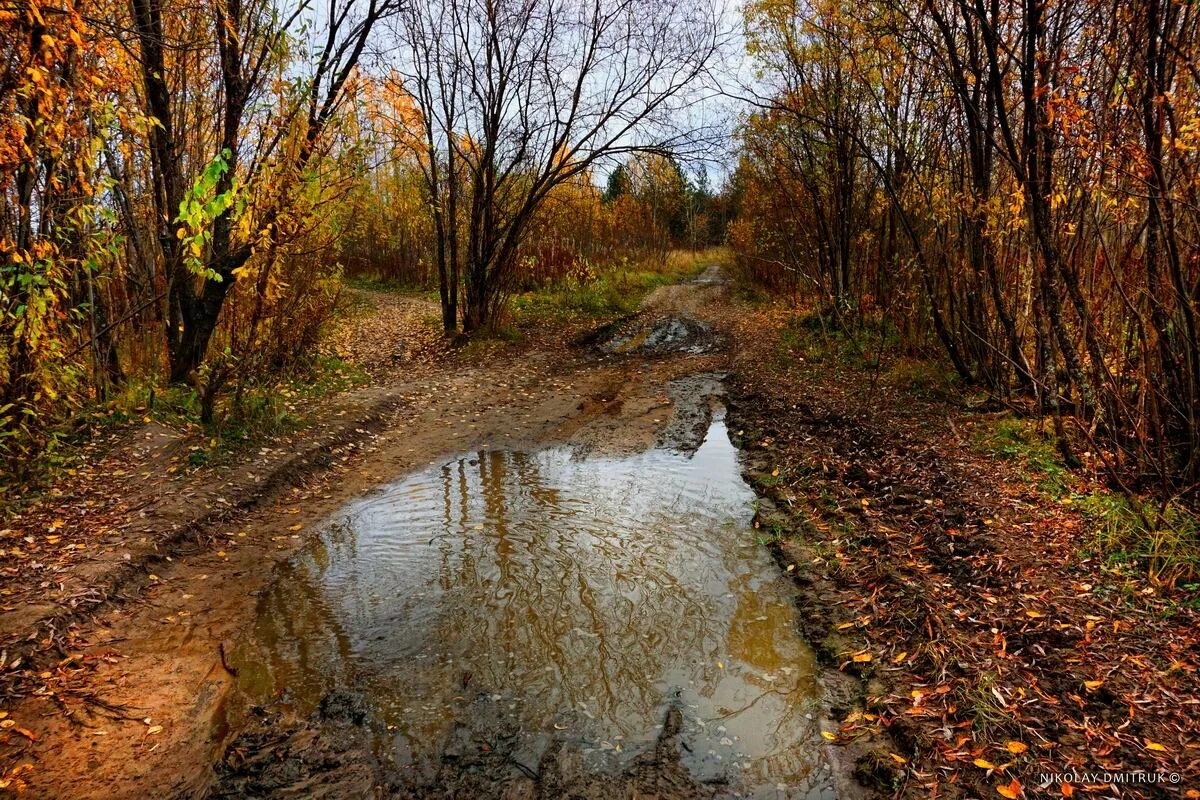 Работают во время дождя. Атмосферный парк. Ненастная пора. Ручейки во время дождя. Промозглая осень река мойка.