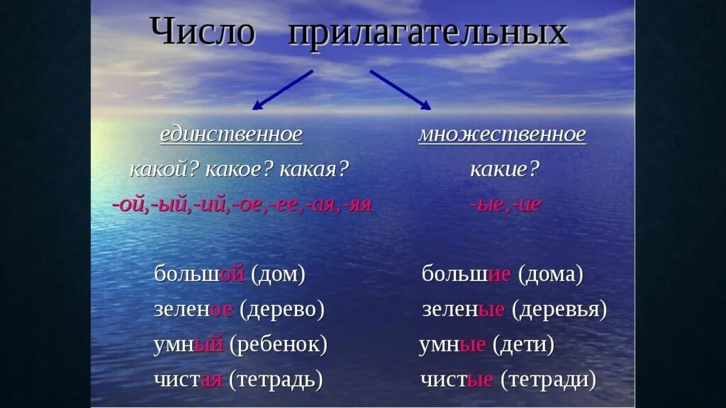 Назвали род. Число прилагательных. Прилагательные единственного и множественного числа. Число прилагательных 2 класс. Множественное число прилагательных.