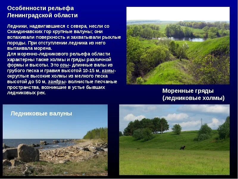 В какой земле лежать