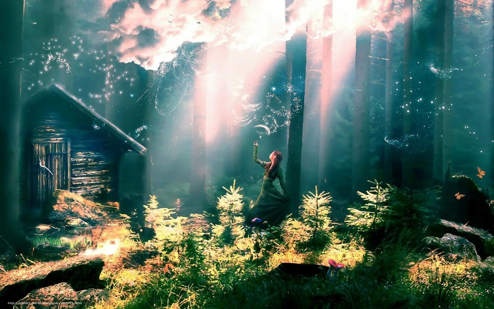 сибирская тайга бурелом. Schwarzwald в лесу. девушка в таинственном лесу. шварцвальд лес. домик в лесу арт.