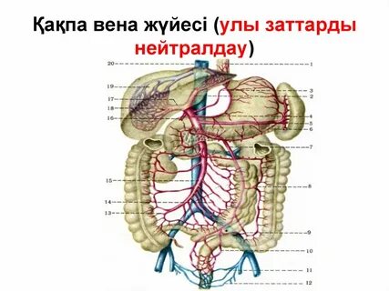 Мен қай Винкспен жыныстық қатынасқа түсемін?