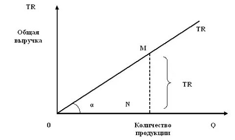 Общая выручка фирмы это
