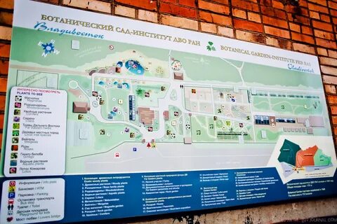 Дво ран владивосток отзывы