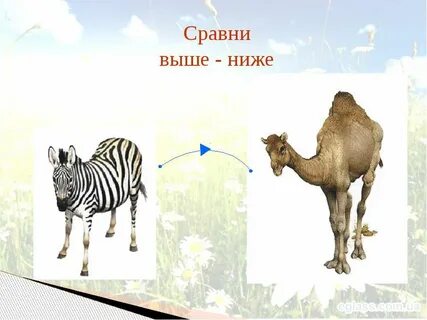 Выше ниже 1 класс презентация