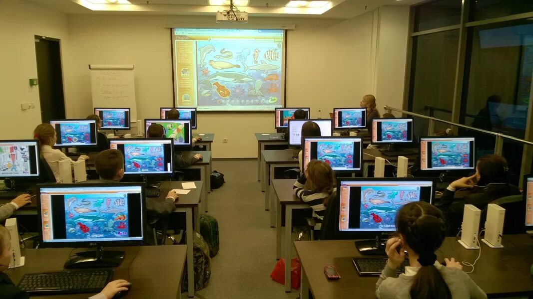Компьютерный урок в школе. Современные компьютерные классы. Компьютер в школе. Компьютерный класс. Компьютерный класс с учениками.