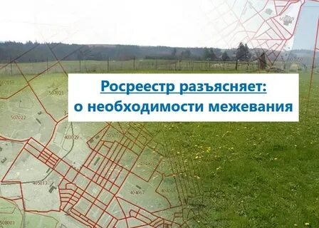 Граница земельного участка земельный кодекс