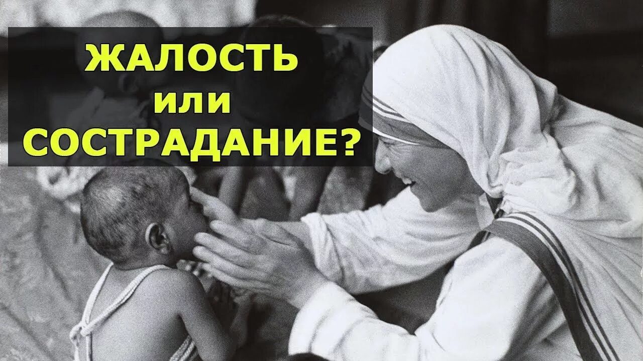 Жалость и сострадание. Сожаление и сострадание это. Сострадание и жалость разница. Жалость и сострадание картинки. Чувство сочувствия и сострадания