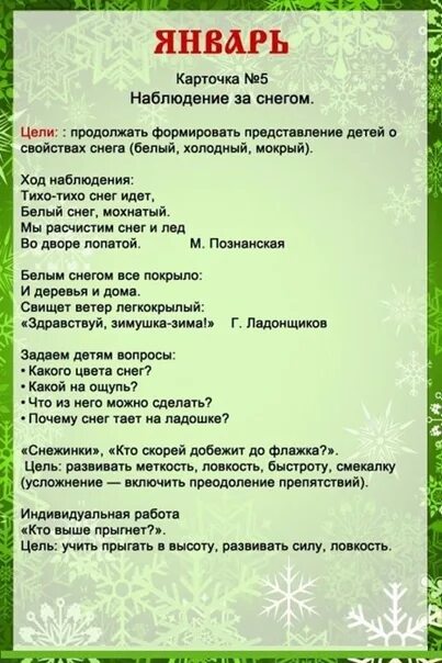 Прогулка январь цель