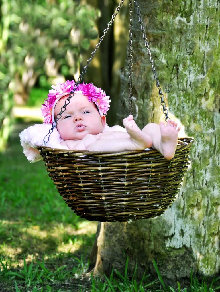 Natural babies. Фитотерапия для детей новорожденных. Newborn Baby Flower Basket. Baby in the Basket. Photosession nature for Baby.
