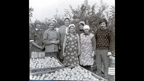 Совхозы крыма
