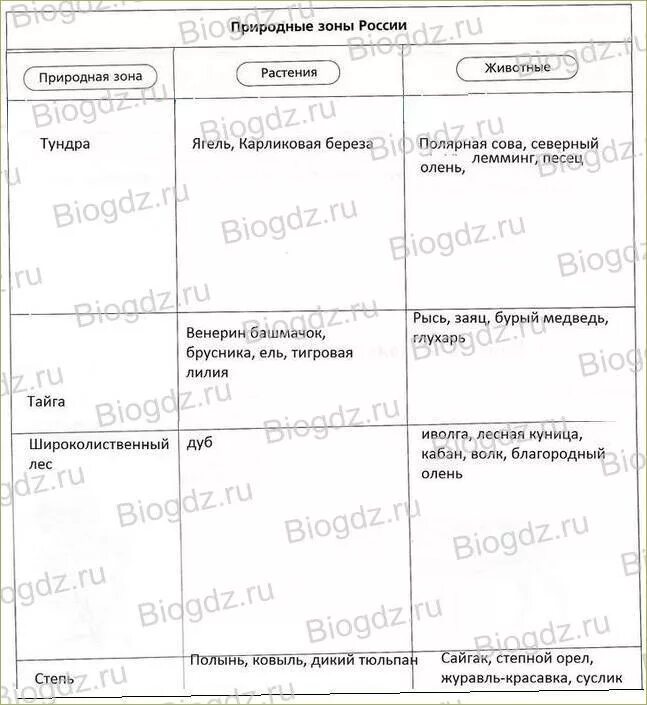 Изучив текст параграфа дополнительные источники информации