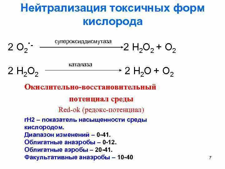 Обезвреживание активных форм кислорода в эритроцитах. Обезвреживание токсичных форм кислорода. форма кислорода.