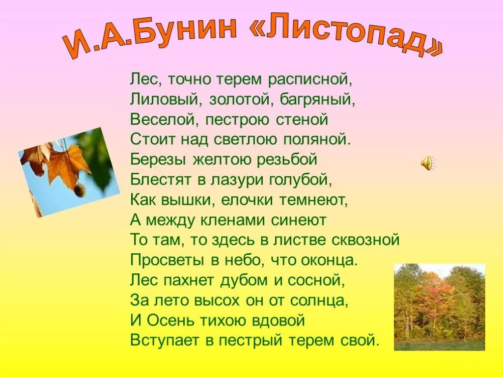 Стих листопад Бунин 4 класс. Стих листопад Бунин 4 класс полностью. 4 класс выучи стихотворение