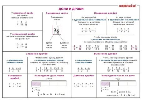 Памятка - доли и дроби 2024 таблицы, учебные пособия ВКонтакте