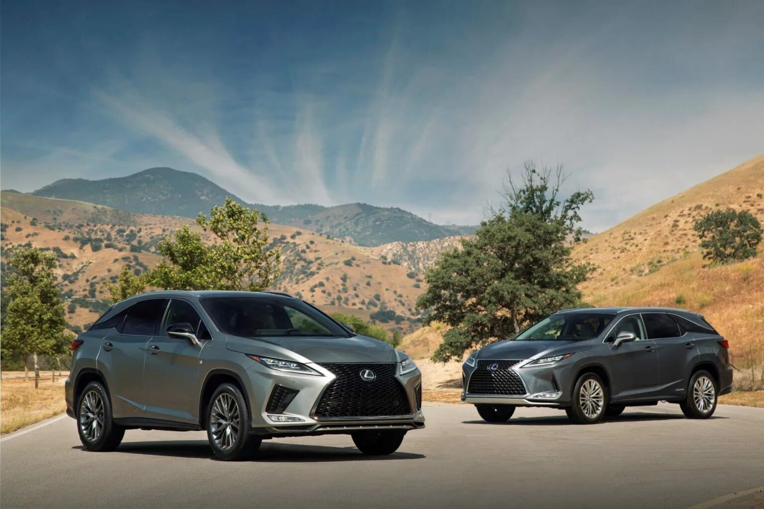 Lexus rx фото. RX Lexus rx350 2020. Lexus RX 450l. Lexus RX 450 L 2020. Lexus RX 2021.