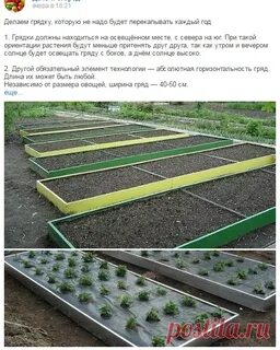 Оптимальные грядки для огорода