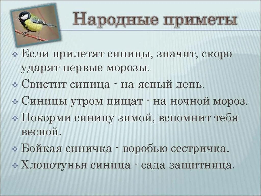 Приметы которые нужно знать всем. Народные приметы. народные приметы приметы. приметы народов. народные приметы народные.