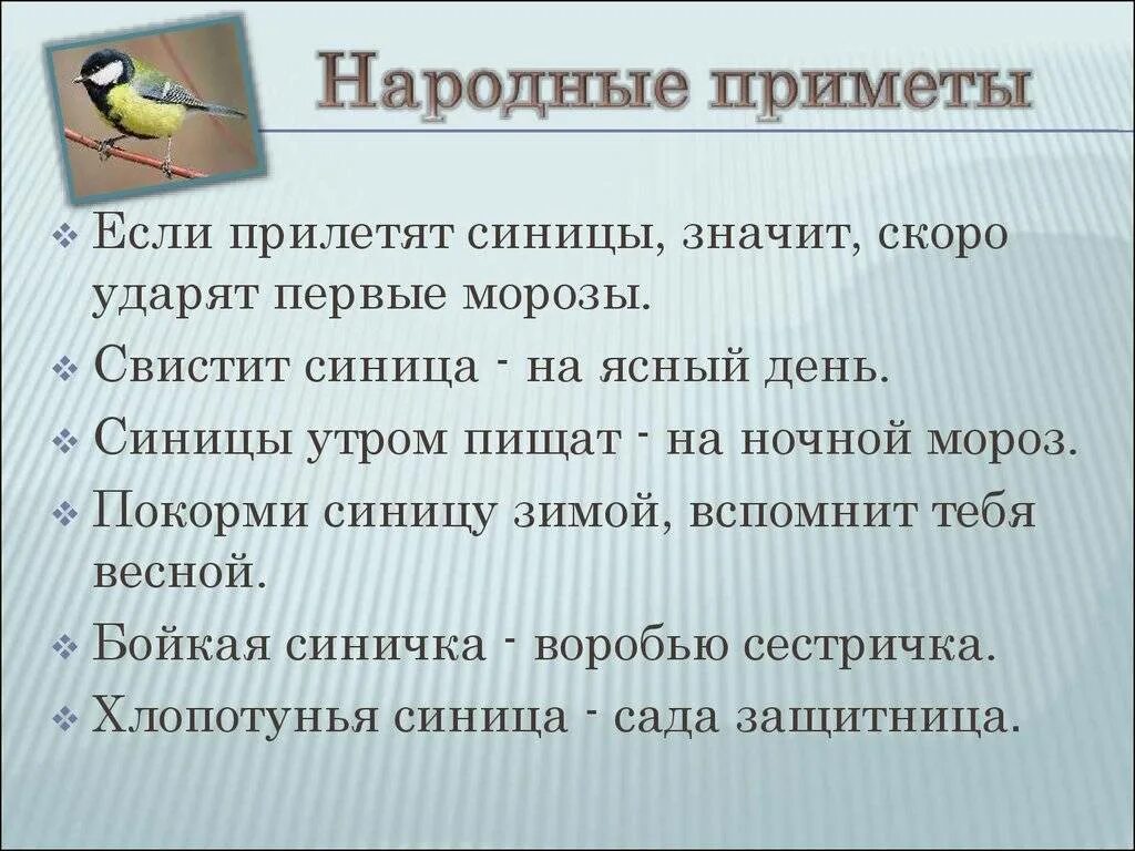 Народные приметы. Народные приметы приметы. Приметы народов. Сообщение о народных приметах.