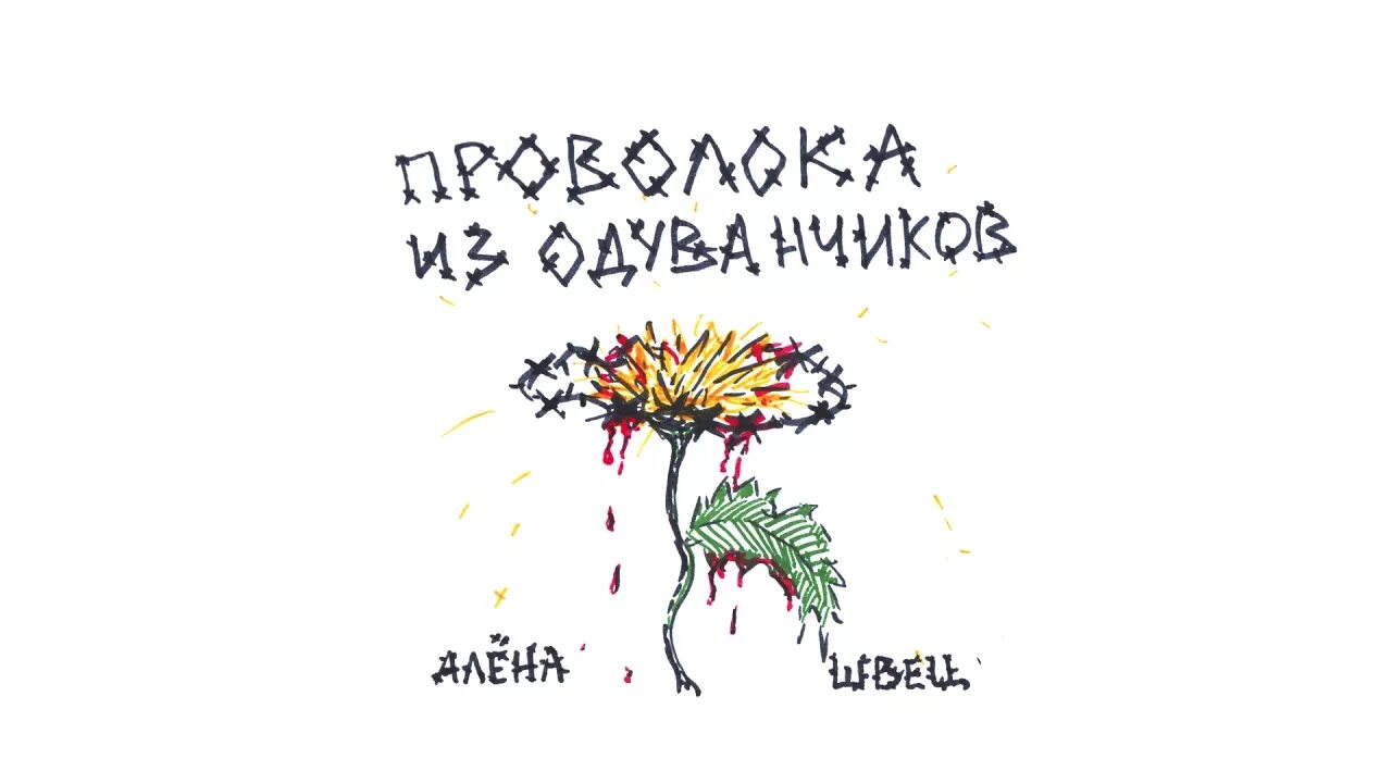 Песня черная алена швец. Алена Швец проволока из одуванчиков. Альбом Алёны Швец проволока из одуванчиков. Обложки альбомов Алёны Швец. Алена Швец проволока из одуванчиков обложка.