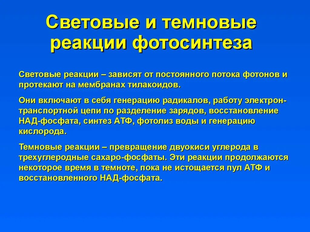 Световые реакции. Световые и темновые реакции. Реакции светящийся. Световые и темновые реакции что делают.