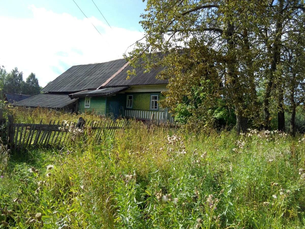 Романцево рыбновский район. В романцево. Пляж романцево рязань. Родник в романцево рязань. Рязань романцево.