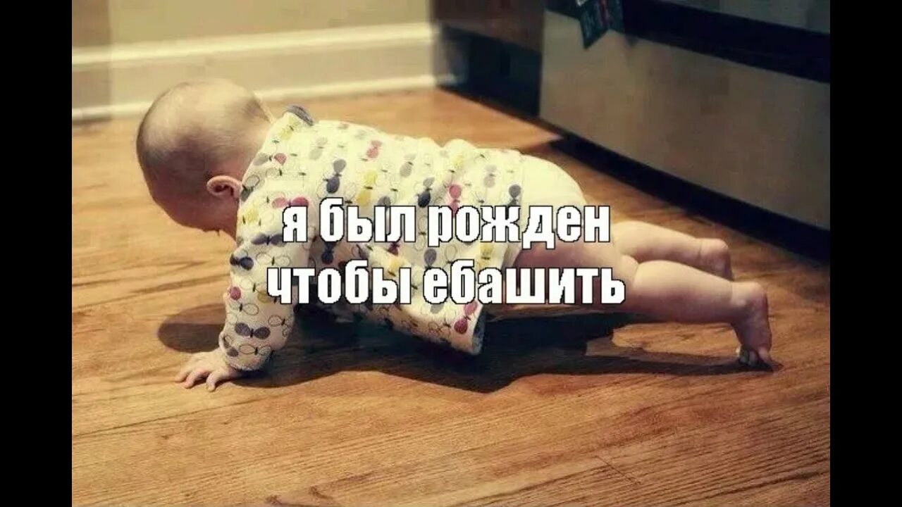 Ну ты меня родила. Коты приколы с надписями. Статус на день рождения себе прикольные. У меня родился племянник. Я родился!.