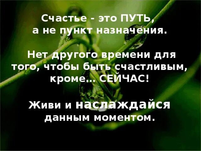 Счастья в жизни столько. Все люди счастливы кроме меня. Счастливая женщина картинки. Веселый человек. Мемы про науку.
