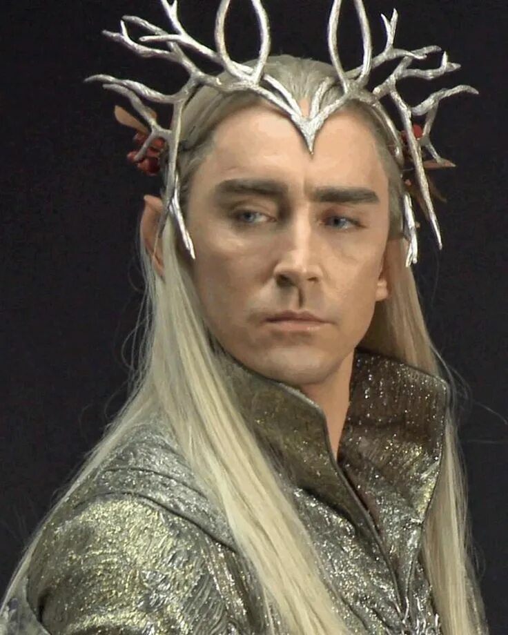 Трандуил Хоббит. Ли Пейс Трандуил. Ли Пейс Хоббит. Lee Pace Трандуил. Стар властелин колец