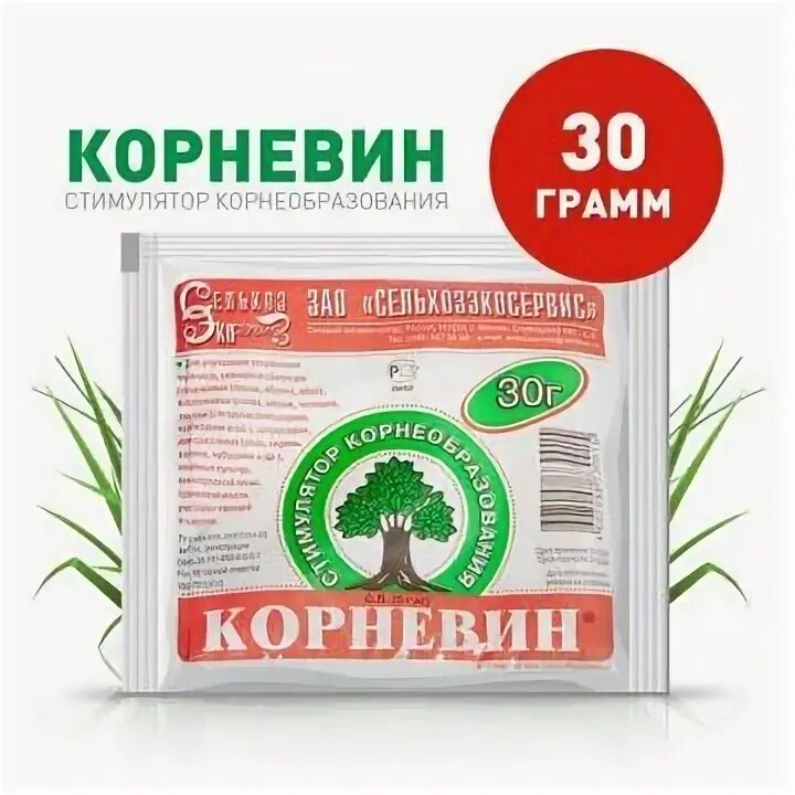 Корневин сп, 10гр. Стимуляторы корнеобразования для хвойных. Стимуляторы корнеобразования для хвойных. Корневин в чайной ложке. Корневин в чайной ложке.