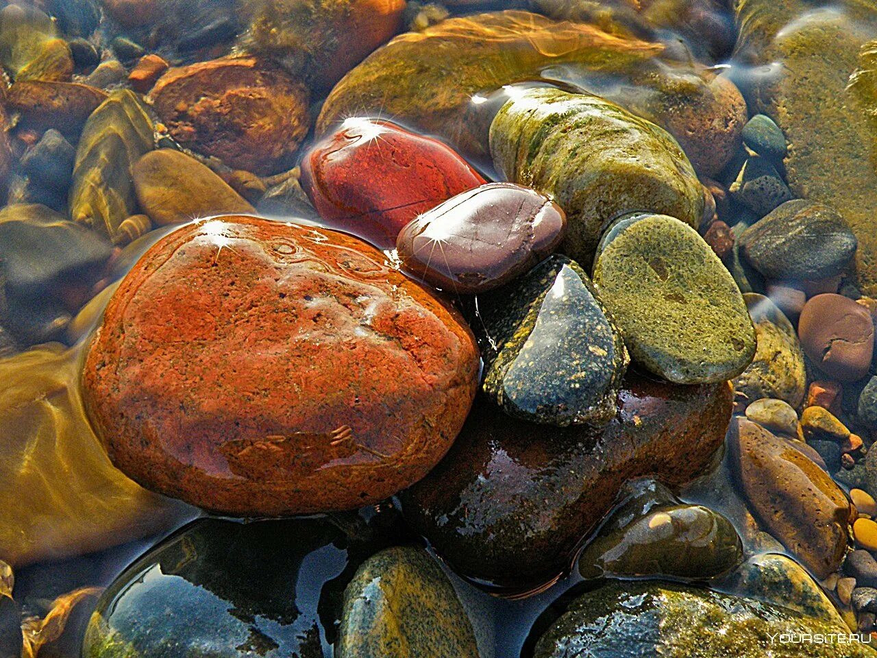 Самоцветы вода. Речная галька горного Алтая. Красивые морские камни. Камни разноцветные морские. Красивые камушки.