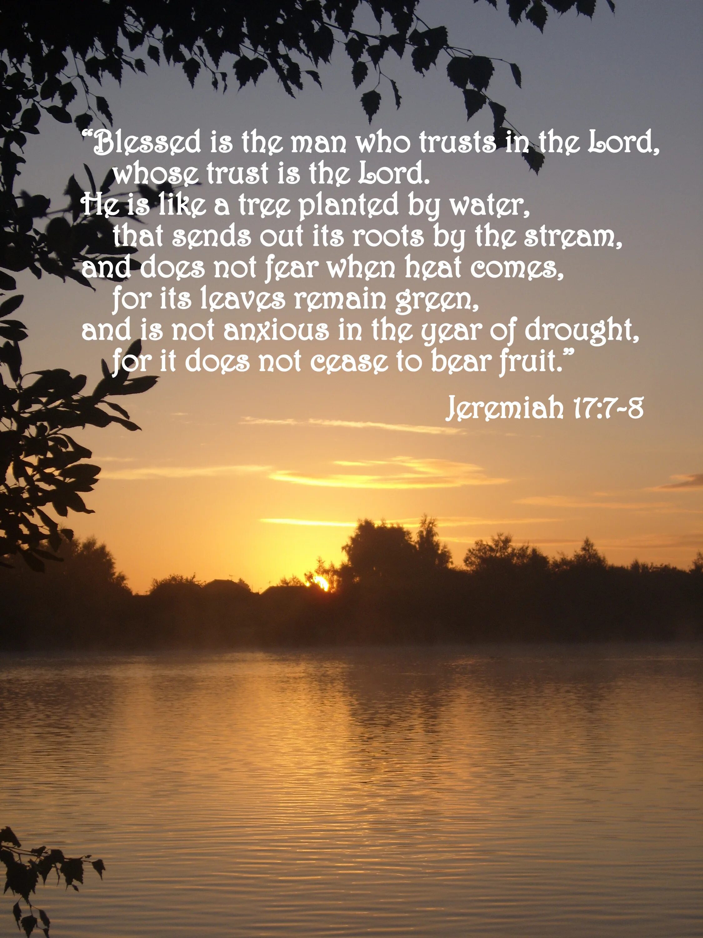 Иеремия 17:8. Иеремия и варух. Jeremias 17:7. Францишек борковский. Проклят надеющийся на человека библия.