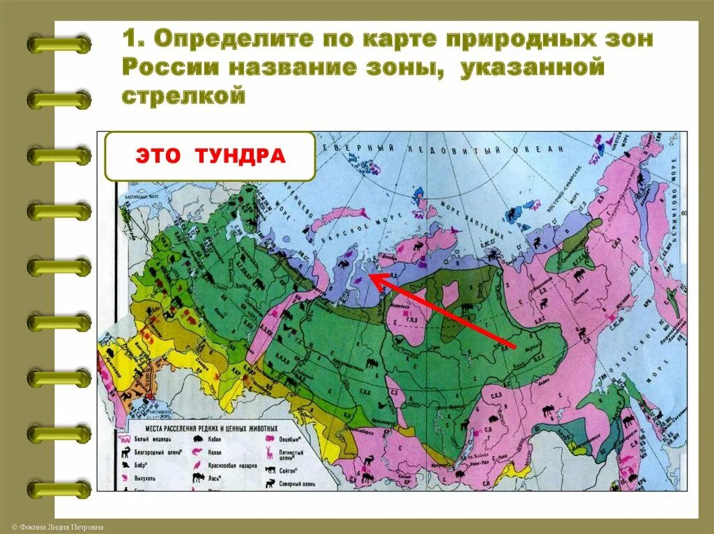 Распространение природных зон россии. Карта природных зон России 4 класс окружающий мир. Карта природные зоны России 4 класс окружающий мир для ВПР. Карта природных зон России 4 класс ВПР.