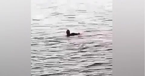 Жертвы моря
