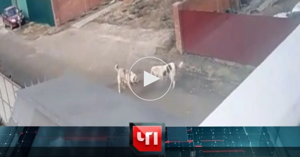Программа чп последний выпуск. Чп нтв чрезвычайное происшествие. передача чрезвычайное происшествие на нтв. нтв чрезвычайное происшествие последний выпуск. чп чрезвычайное происшествие нтв 2010.