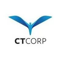 Модельки персонажей кс. Sas ct. 6. Gsg9 cs 1. Скины для игроков ксс.