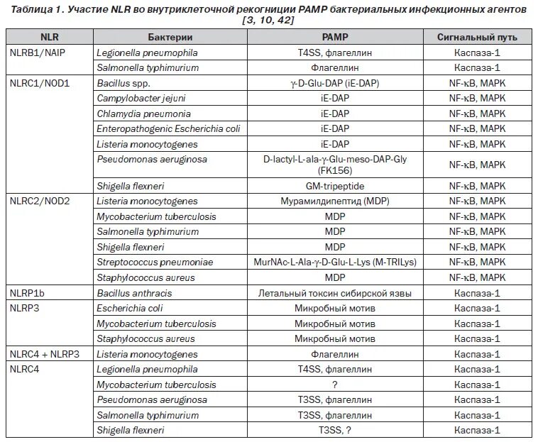 бактерии эшерихия коли. бактерии симбионты. патогены 12. штамм бактерий. патоген 12 анализы.